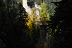 P1020316