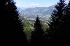 P1020317