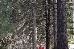 20200927_113449_2