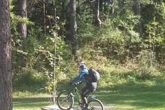 20200927_1534540-1_2