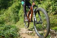 IMG-20250913-WA0023