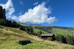 IMG-20250914-WA0049