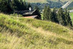IMG-20250915-WA0004