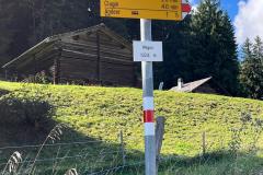 IMG-20250915-WA0014