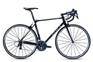 Storck Durnario Comp 2017