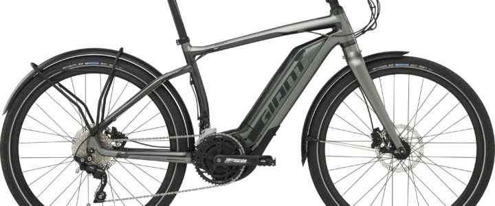 Giant City Hybrid Quick-E+ 45 2017
