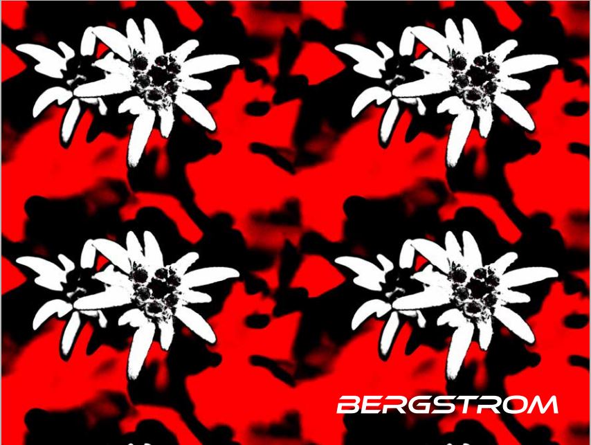 Bild Bergstrom Katalog
