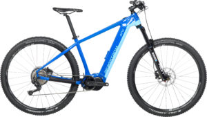 Bergstrom ATV-720 29" 2018