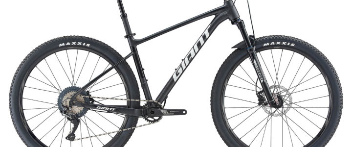 Giant MTB Fathom 1 29er 2019
