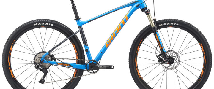 Giant MTB Fathom 2 29er 2019
