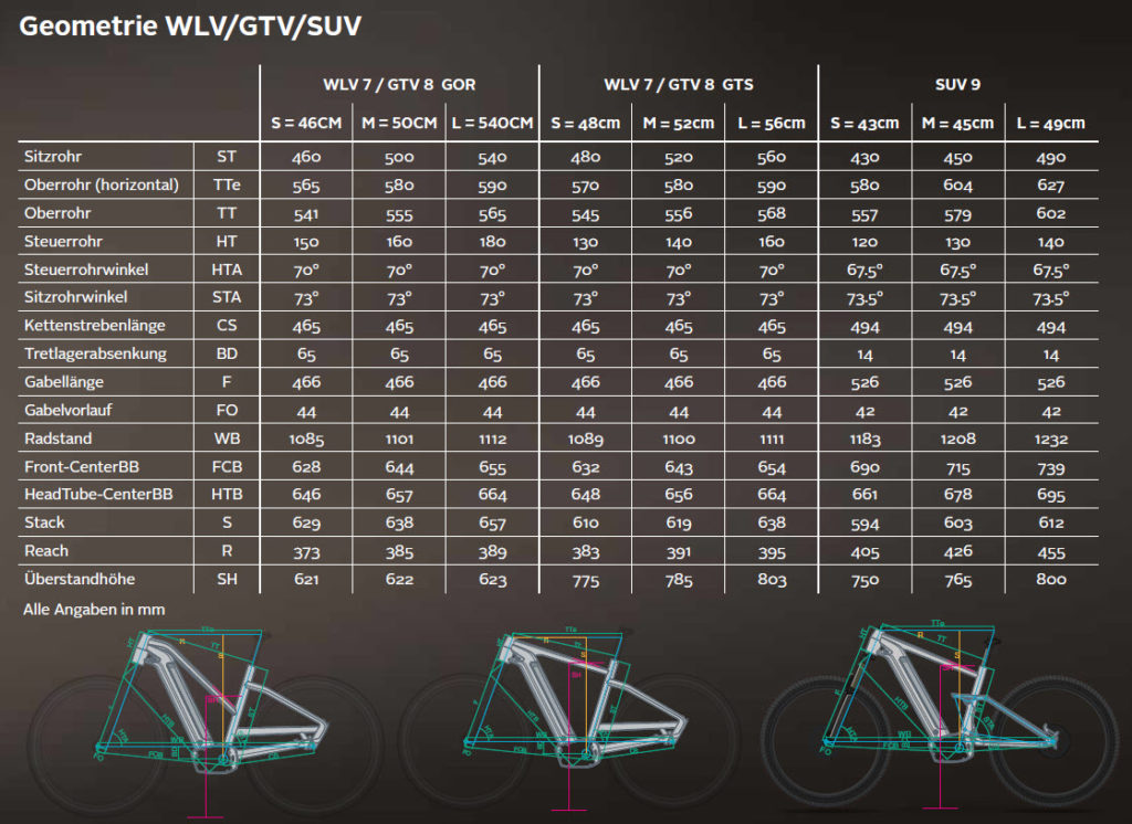 Bergstrom Geometrie WLV/GTV/SUV 2019