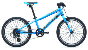 Youth - Giant ARX 20"