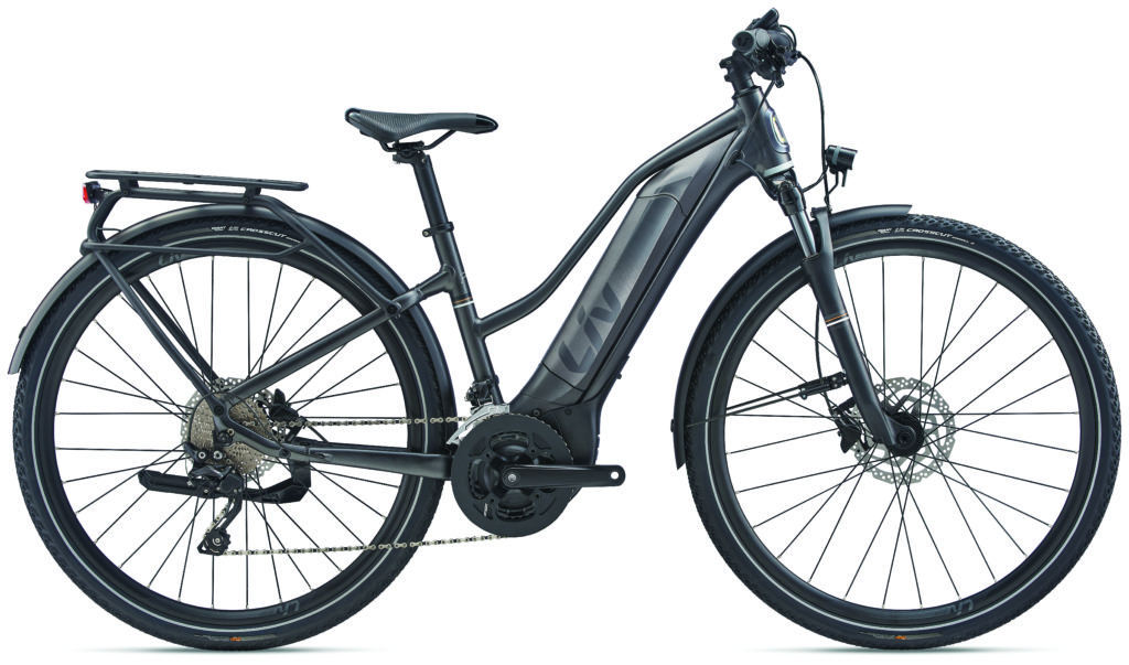 Liv E-Bike Amiti E+ 1