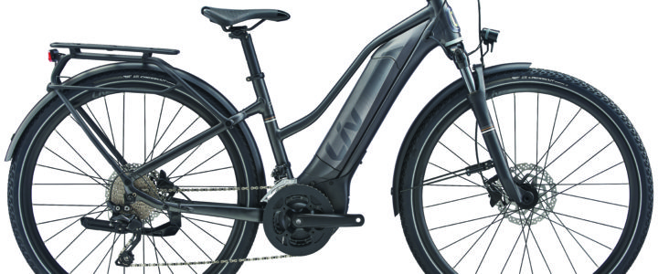 Liv E-Citybike Amiti E+2