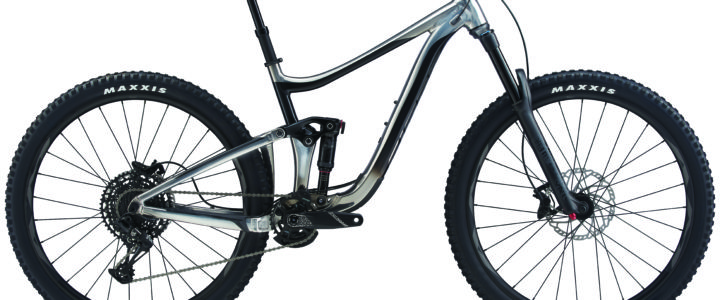 Giant MTB Reign 2 29er