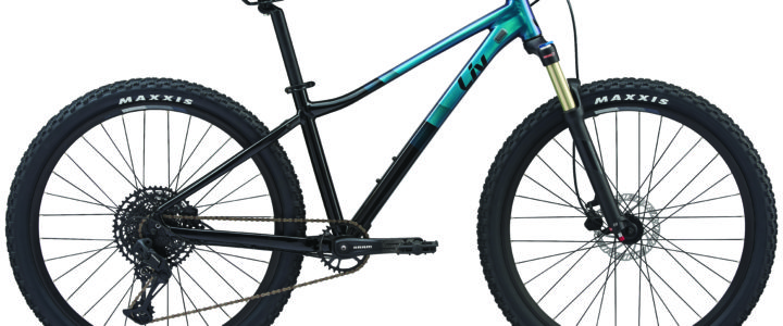 Liv MTB Tempt 1