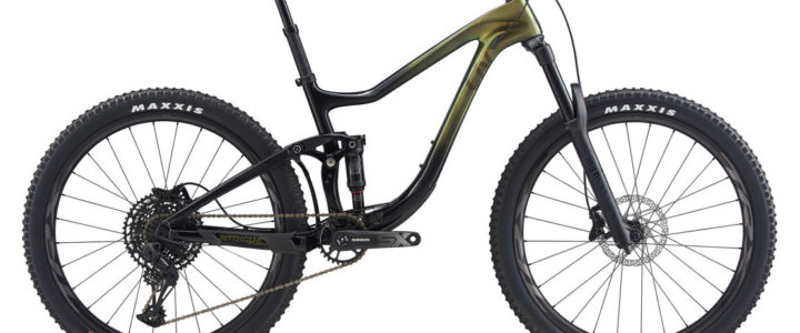 Liv MTB Intrigue Advanced 2