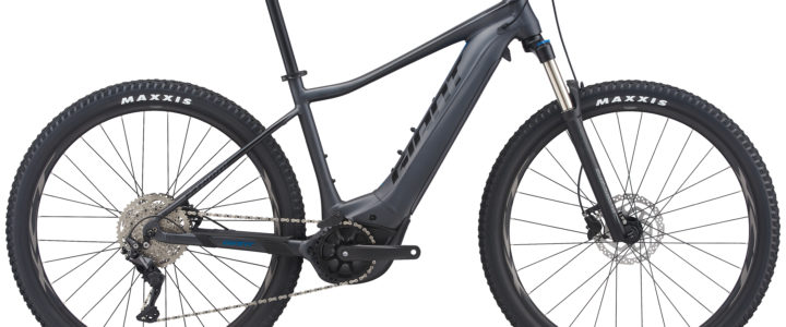 Giant  Fathom E+ 2 29