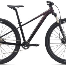 Liv MTB Tempt 1 GE 29er Liv MTB Tempt 1 GE 29er
