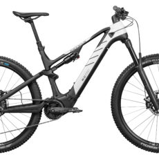 Rotwild E-MTB R.C750 Rotwild E-MTB R.C750